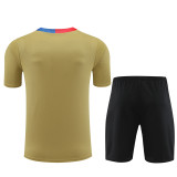 24-25 Barcelona Short Sleeve Training Suit/24-25短袖训练服巴萨金色