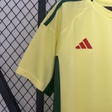 2024 Wales Away Fans Jersey / 2024 威尔士客场球迷