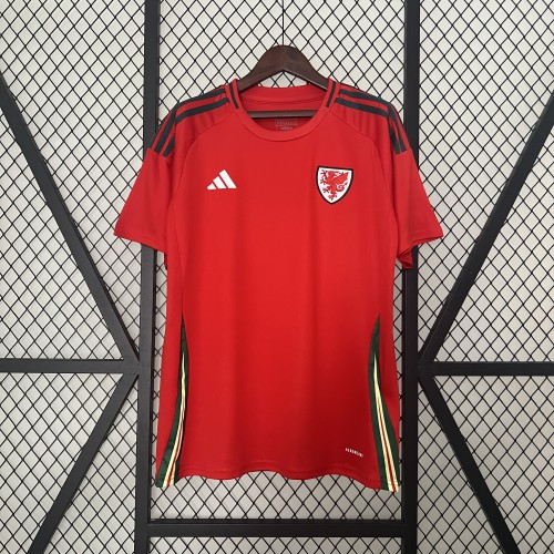 2024 Wales Home Fans Jersey / 2024 威尔士主场球迷