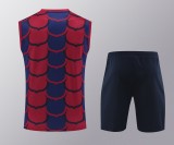 24-25 Barcelona Vest Training  Suit/24-25巴萨背心训练服