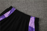 2024 Germany Purple Short Sleeve Training Suit/2024德国短袖训练服