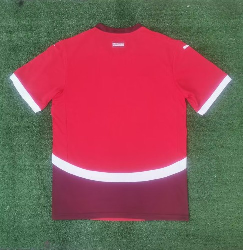 2024 Switerland Home Fans Jersey/ 2024 瑞士主场球迷版