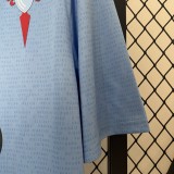 24-25 Celta Vigo Home Fans Jersey/ 24-25 塞尔塔主场球迷版