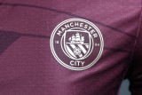 24-25 Manchester City Third Away Player Version Jersey/24-25曼城第二客场球员版
