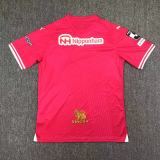 24-25  Cerezo Osaka Home Fans Jersey/24-25 大阪樱花主场球迷版