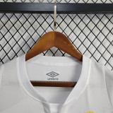 24-25 Santos Home Fans Jersey/24-25 桑托斯主场球迷版