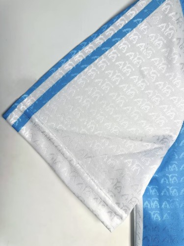 1994 Argentina Home Retro Jersey/1994阿根廷主场