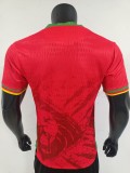 2025 Cameroon Away Player Jersey/2025喀麦隆客场球员版