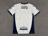 25-26 independiente Away Fans Jersey/ 25-26 阿根廷独立队客场球迷