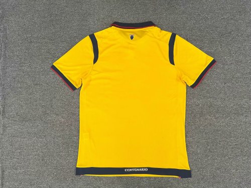 2025 Ecuador Home Fans Jersey/2025 厄瓜多尔主场球迷版