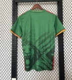 2025 Cameroon Home Fans Jersey/2025喀麦隆主场球迷