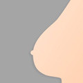 Roxanne - Big Breasts Sex Doll 273# Head TPE 162cm WM Fine Real Dolls
