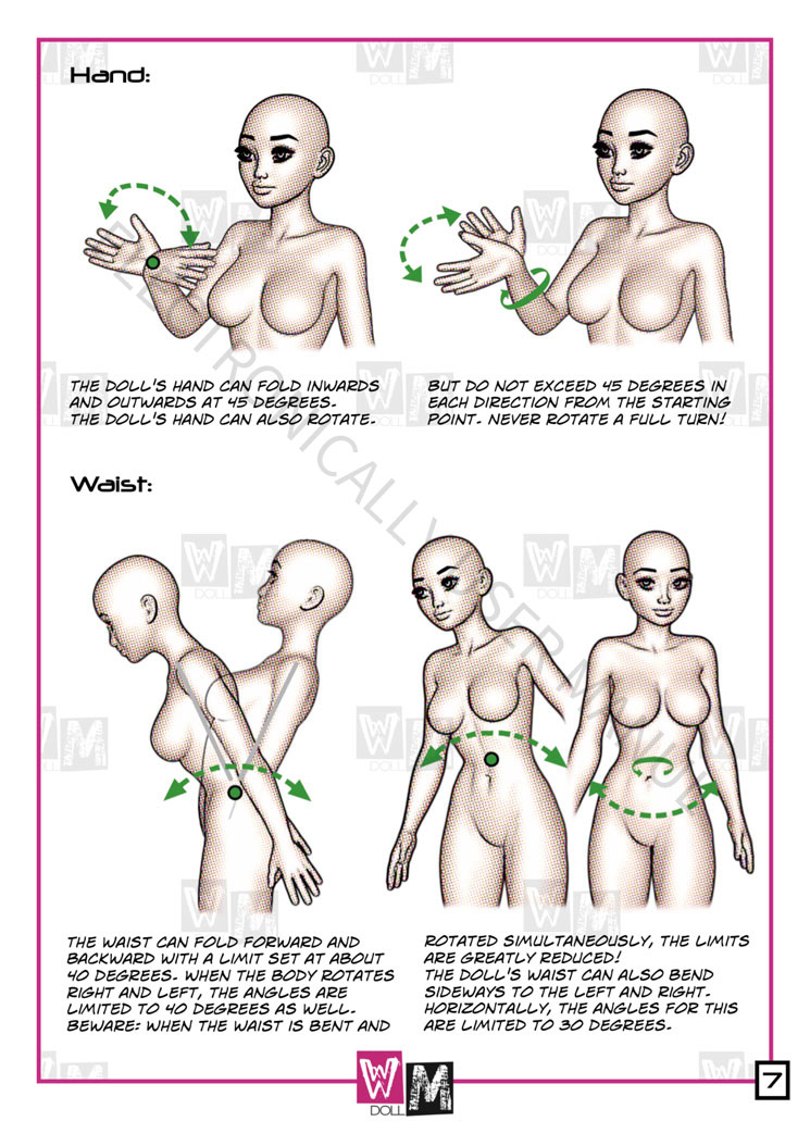 WM TPE Sex Doll manual-7