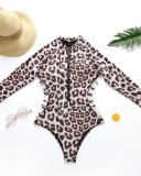 Leopard Print One-piece Swimsuit