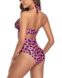 Plus size Fashion Leopard Print Sexy Bikini Set