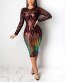 Sequin Sheer Colorful Dress