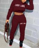 Leisure Short Hoodies Sports Two-piece Suit