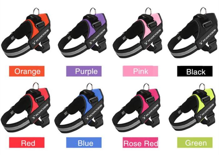 Best Dog Harness That Prevent Dogs From Pulling