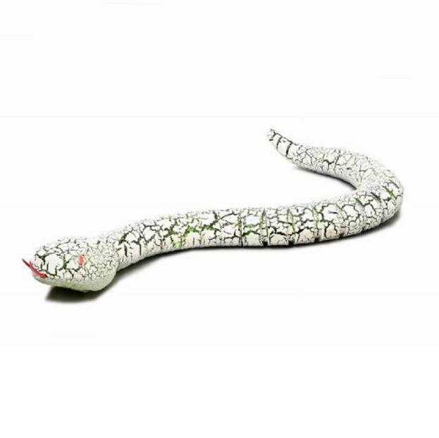 RC Snake