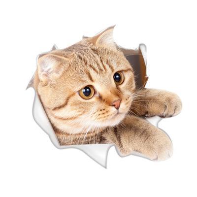 Funny 3D Cat Stickers