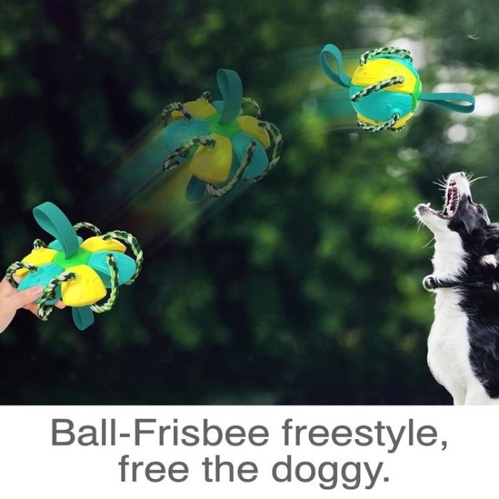 Dog Toy Balls Ufo Magic Ball