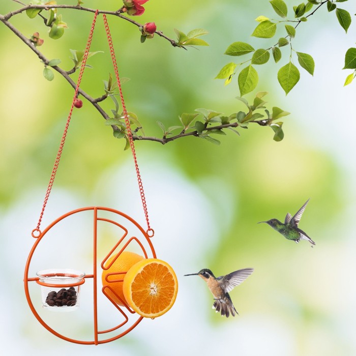 【🐦Special 50% OFF)-2 In 1 Hanging Clementine Hummingbird Oriole Feeder