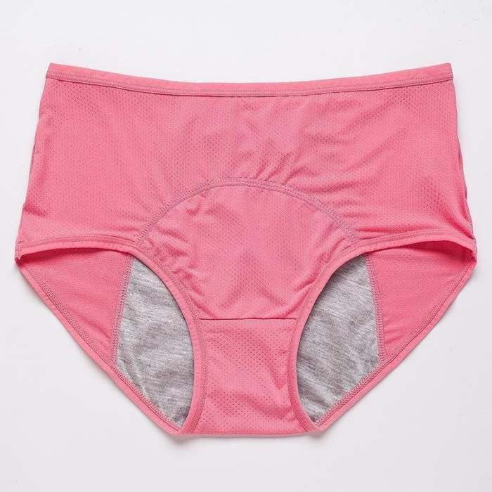 🔥Last Day Buy 3 Get 5🔥 High Waist Leak Proof Panties