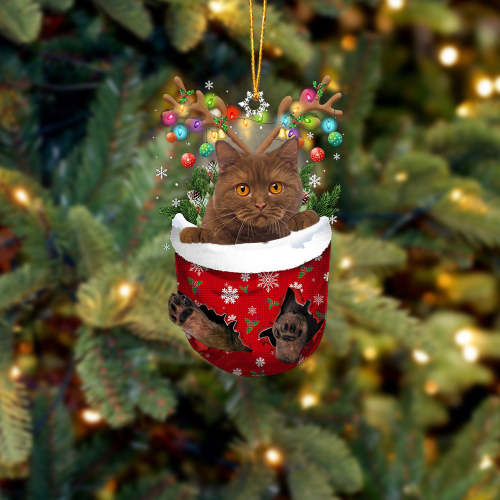 Cat 17 In Snow Pocket Christmas Ornament
