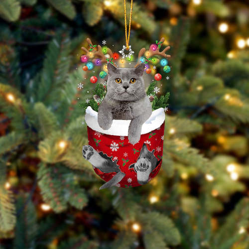 Cat British Shorthair02 In Snow Pocket Christmas Ornament