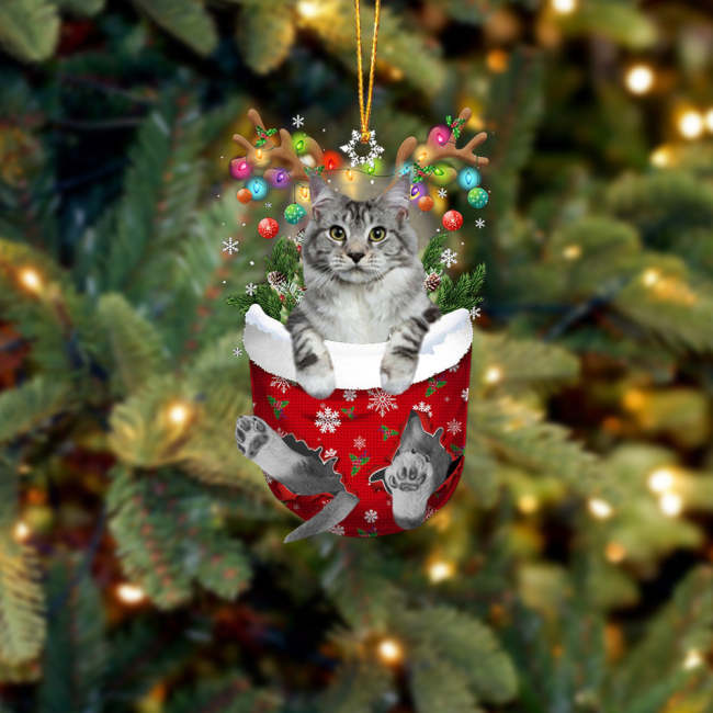 Cat Maine Coon In Snow Pocket Christmas Ornament