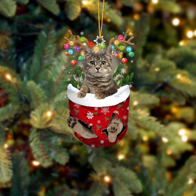 Cat 35 In Snow Pocket Christmas Ornament