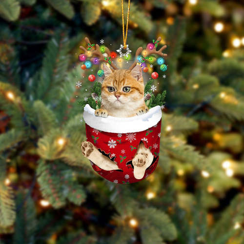Cat 22 In Snow Pocket Christmas Ornament