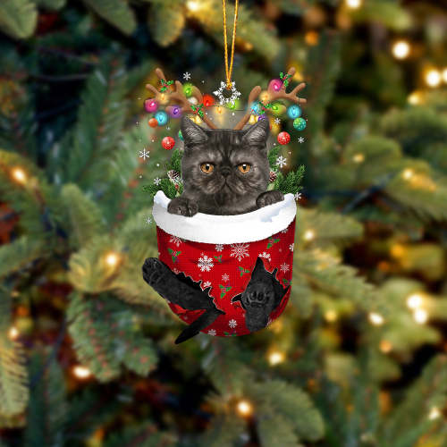 Cat 28 In Snow Pocket Christmas Ornament
