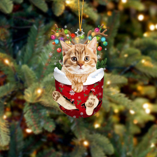 Cat 14 In Snow Pocket Christmas Ornament