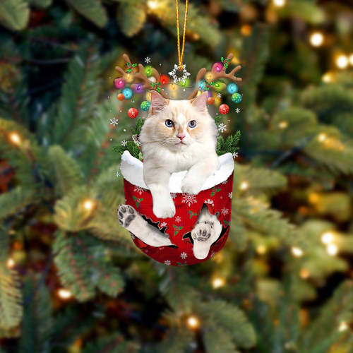 Cat 34 In Snow Pocket Christmas Ornament