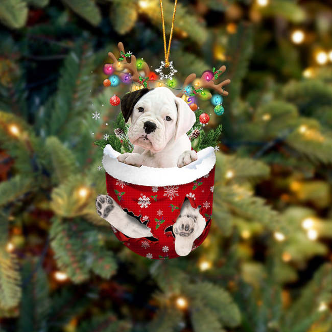 WHITE Boxer In Snow Pocket Christmas Ornament
