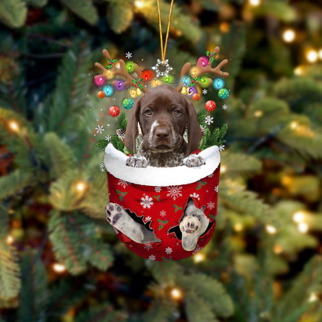 German Shorthaired Pointer In Snow Pocket Christmas Ornament