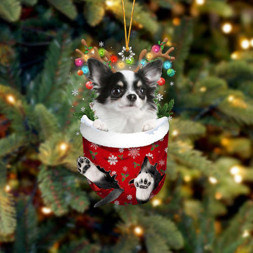 Long haired white Chihuahua In Snow Pocket Christmas Ornament