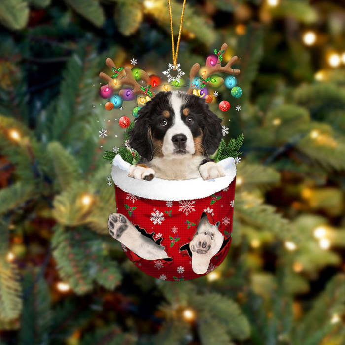 Bernese Mountain Dog In Snow Pocket Christmas Ornament