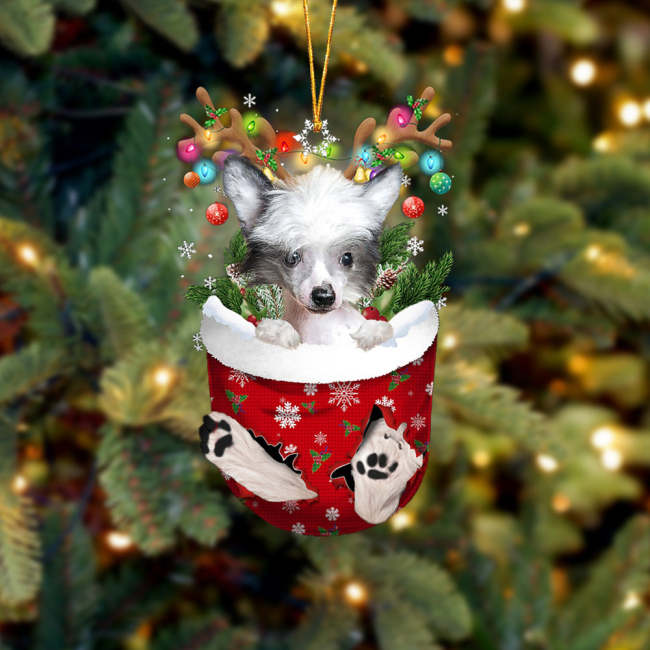 Chinese Crested Dog In Snow Pocket Christmas Ornament