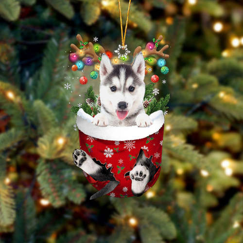 Husky 2 In Snow Pocket Christmas Ornament