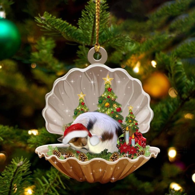 Papillon-Sleeping Pearl in Christmas Two Sided Ornament