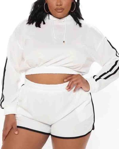 Plus Size Hooded Ribbon Splicing Sweater Casual Fashion Pants Set