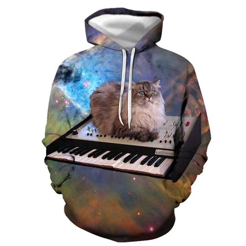 3D Graphic Printed Hoodies The Cat And The Piano