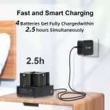 ZITAY 4-Channel Type C Fast Charging Station with PD 65W Quick Charge Adapter for Sony NP-FZ100 Batteries,Compatible with Sony A9 A7III A7RIII Cameras,with LCD Display【BC18BC13CT09】