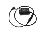 USB C to Panasonic DMW-BLK22