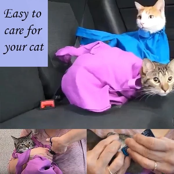 cat carrier pouch