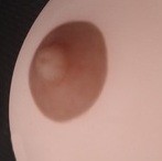 Tan areola color of real girl sex dolls