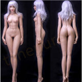 Sino Doll&GDsinodoll Head and body free combination page