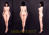 Sino Doll&GDsinodoll Head and body free combination page